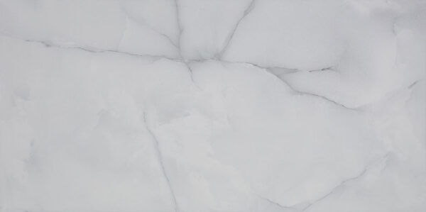 Oinx Silver